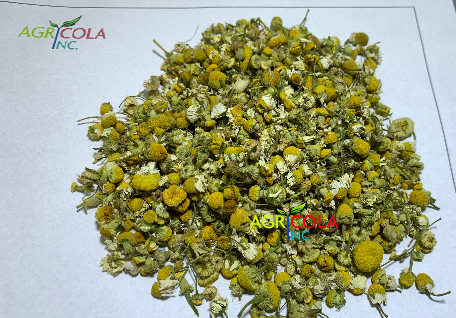 Agricola International