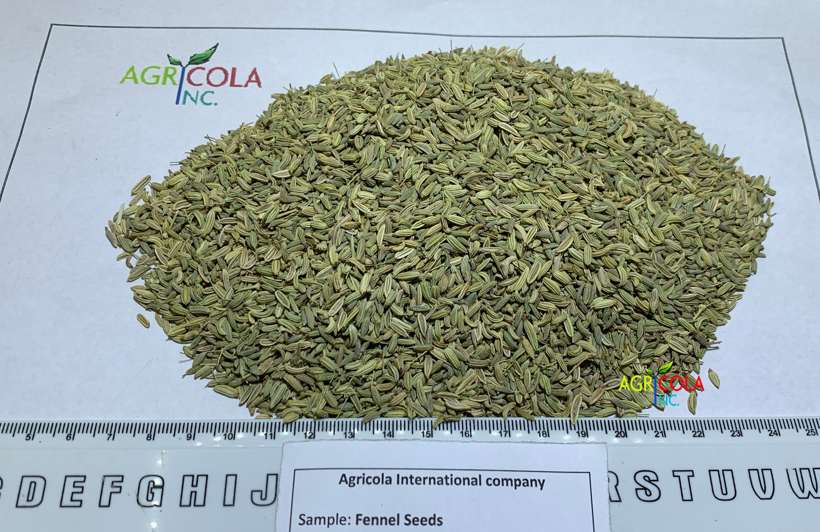 Agricola International
