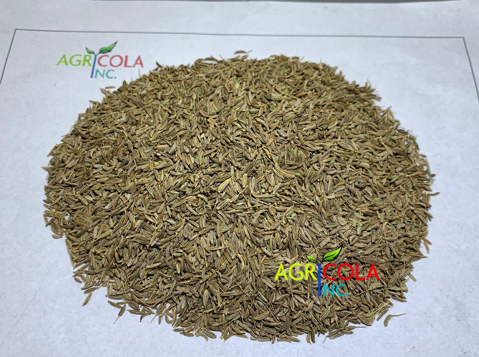 Agricola International